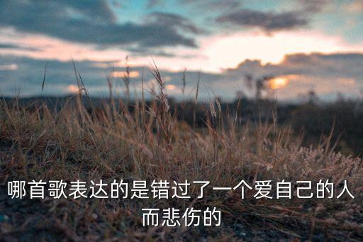 哪首歌表达的是错过了一个爱自己的人而悲伤的