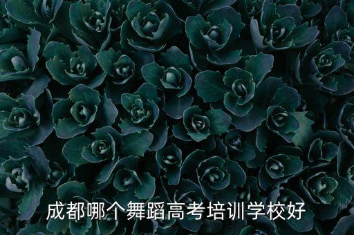 成都最有名的舞蹈学校在哪里，成都哪儿的舞蹈学校最好