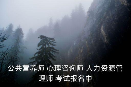 公共营养师 心理咨询师 人力资源管理师 考试报名中