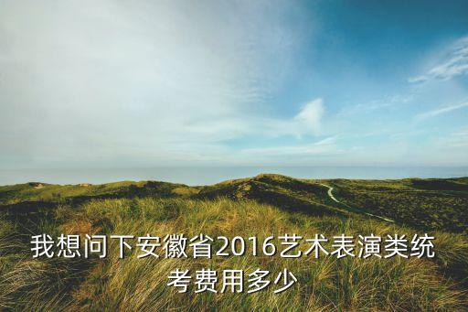 艺考报名费多少钱表演系，2015表演联考报名费要交多少