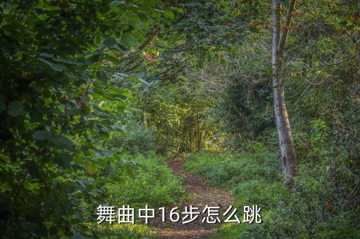 华尔兹铜牌16步舞步，华尔兹口令