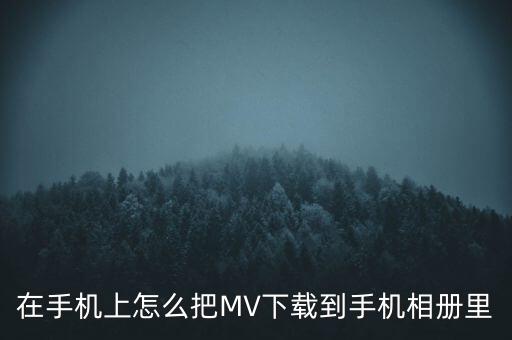 在手机上怎么把MV下载到手机相册里