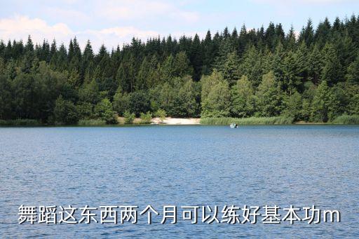 舞蹈这东西两个月可以练好基本功m