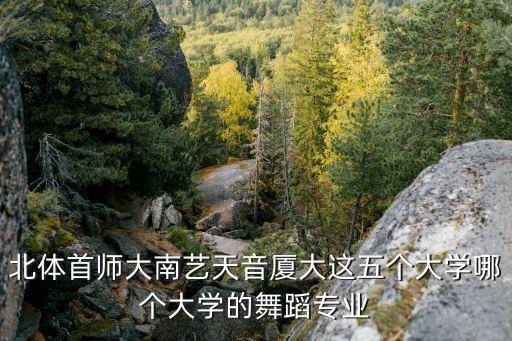 北体首师大南艺天音厦大这五个大学哪个大学的舞蹈专业