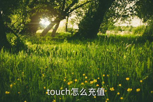 touch怎么充值