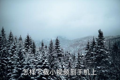 怎样下载小视频到手机上