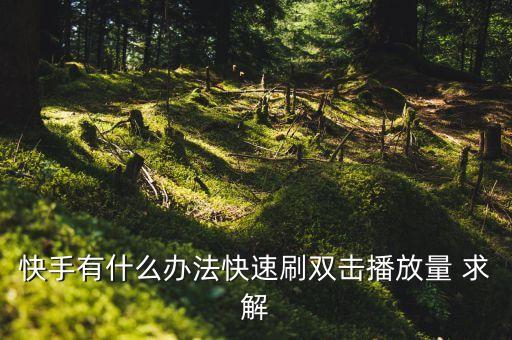 快手有什么办法快速刷双击播放量 求解