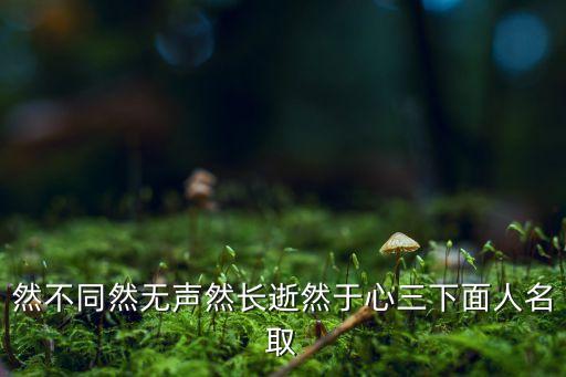 然不同然无声然长逝然于心三下面人名取