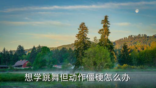 想学跳舞但动作僵硬怎么办