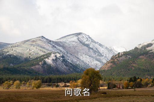 问歌名