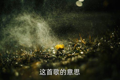 这首歌的意思