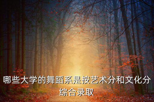 哪些大学的舞蹈系是按艺术分和文化分综合录取