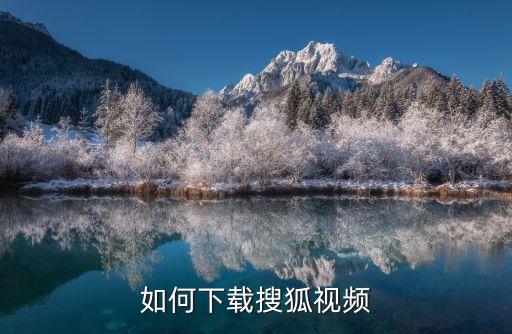 如何下载搜狐视频