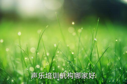 声乐培训机构哪家好