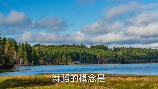 舞蹈的概念是
