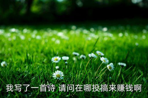 我写了一首诗 请问在哪投搞来赚钱啊
