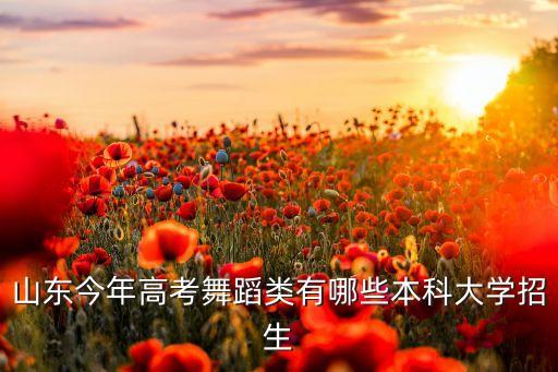 山东今年高考舞蹈类有哪些本科大学招生