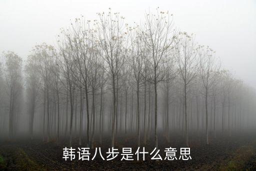 韩语八步是什么意思
