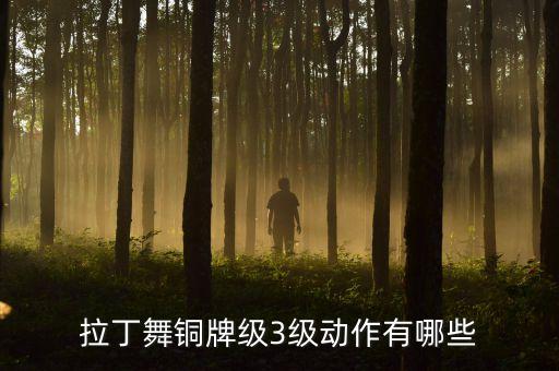 拉丁舞铜牌级3级动作有哪些