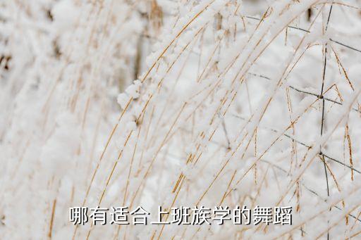 上班族学习什么舞蹈，傲邦尚舞有适合上班族学的舞蹈吗