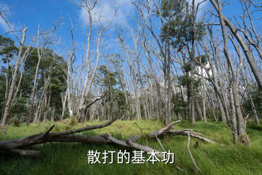 散打的基本功