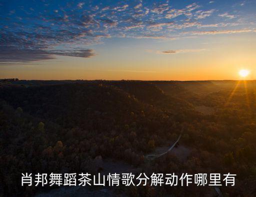 茶山情歌的舞蹈怎么跳，肖邦舞蹈茶山情歌分解动作哪里有