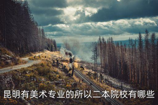昆明有美术专业的所以二本院校有哪些