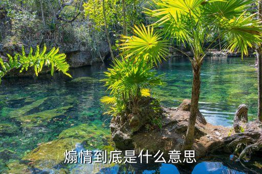 煽情到底是什么意思
