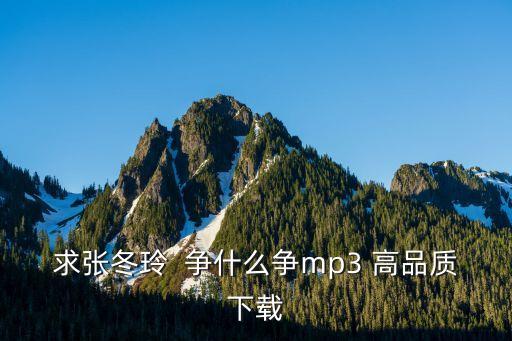 争什么争歌曲原唱试听，求张冬玲  争什么争mp3 高品质下载