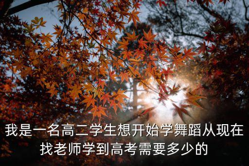 我是一名高二学生想开始学舞蹈从现在找老师学到高考需要多少的