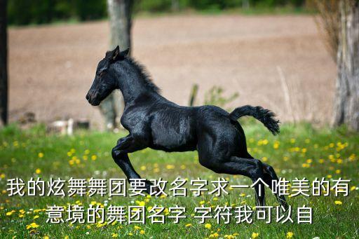 我的炫舞舞团要改名字求一个唯美的有意境的舞团名字 字符我可以自