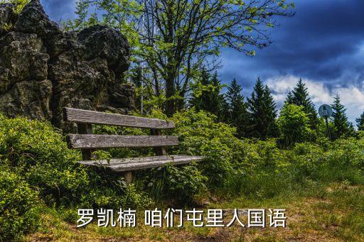 罗凯楠 咱们屯里人国语