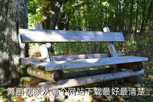 舞蹈视频从哪个网站下载最好最清楚