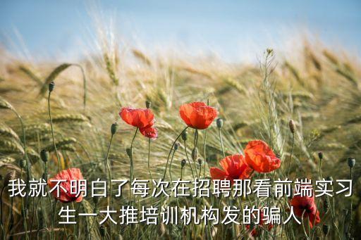 我就不明白了每次在招聘那看前端实习生一大推培训机构发的骗人