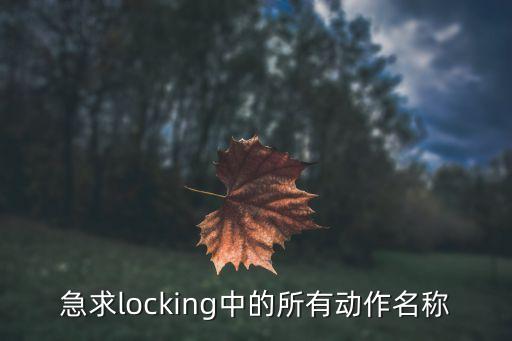 急求locking中的所有动作名称