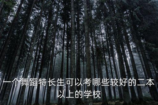 一个舞蹈特长生可以考哪些较好的二本以上的学校