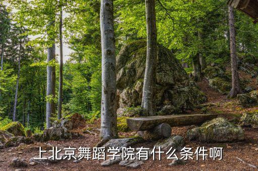 上北京舞蹈学院有什么条件啊
