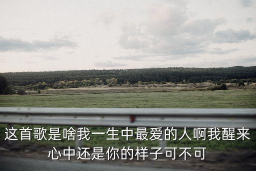 这首歌是啥我一生中最爱的人啊我醒来心中还是你的样子可不可
