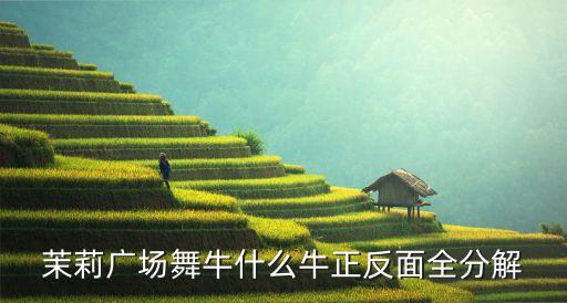 广场舞牛什么牛阿梅，糖豆广场舞萱萱牛什么牛