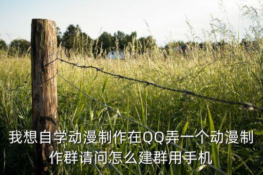 我想自学动漫制作在QQ弄一个动漫制作群请问怎么建群用手机