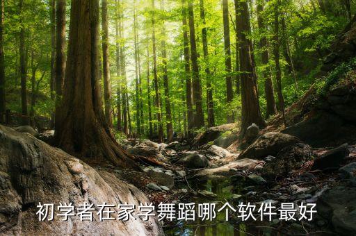 初学者在家学舞蹈哪个软件最好