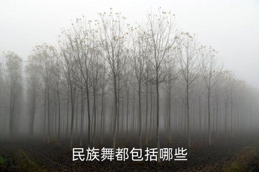 傣族舞是什么地区的代表性舞蹈，学舞蹈的请进