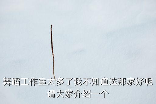 广州舞蹈工作室哪些好，广州市海珠区附近最近最好的影楼或者摄影工作室有哪些教jazz和