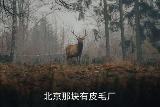 北京那块有皮毛厂