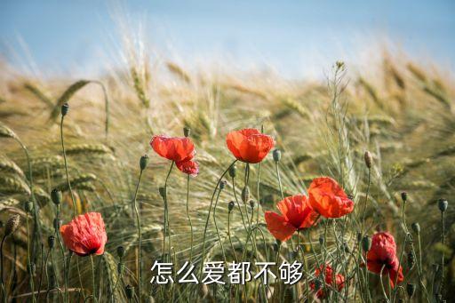 怎么爱都不够