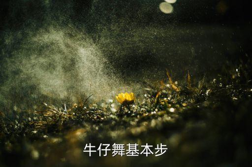 牛仔基本步有哪些，牛仔舞包含几个基本步