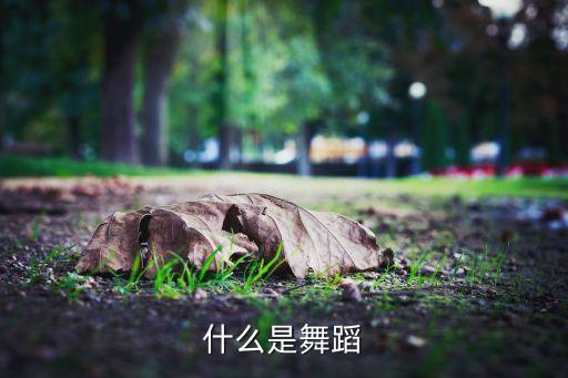 什么是舞蹈语言，什么是舞蹈