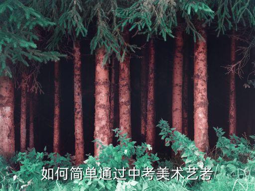 如何简单通过中考美术艺考