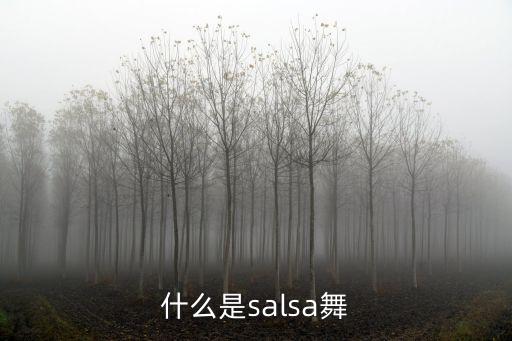 salsa舞蹈的特性是什么，什么是salsa舞