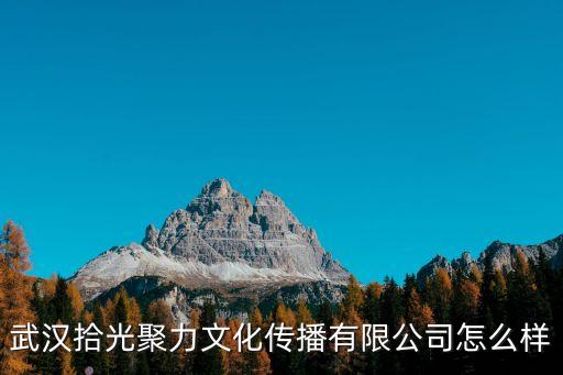 武汉拾光聚力文化传播有限公司，后宫的背景音乐和倾世皇妃的背景音乐是一样的是一个公司